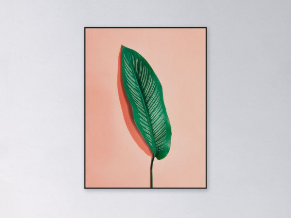 Mockup-Leaf-salmon-bg-60x80cm.jpg