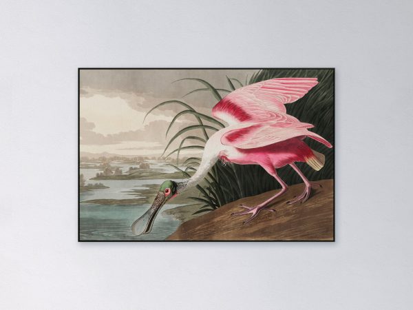 Akoestisch-paneel-pink-spoonbill-2048px.jpg