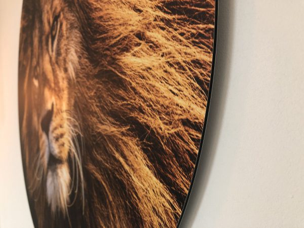 sunset-lion-rand.jpg