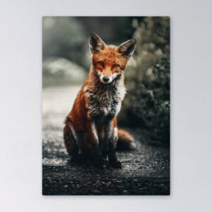 Wandpaneel-LittleFox-staand-2048px.jpg