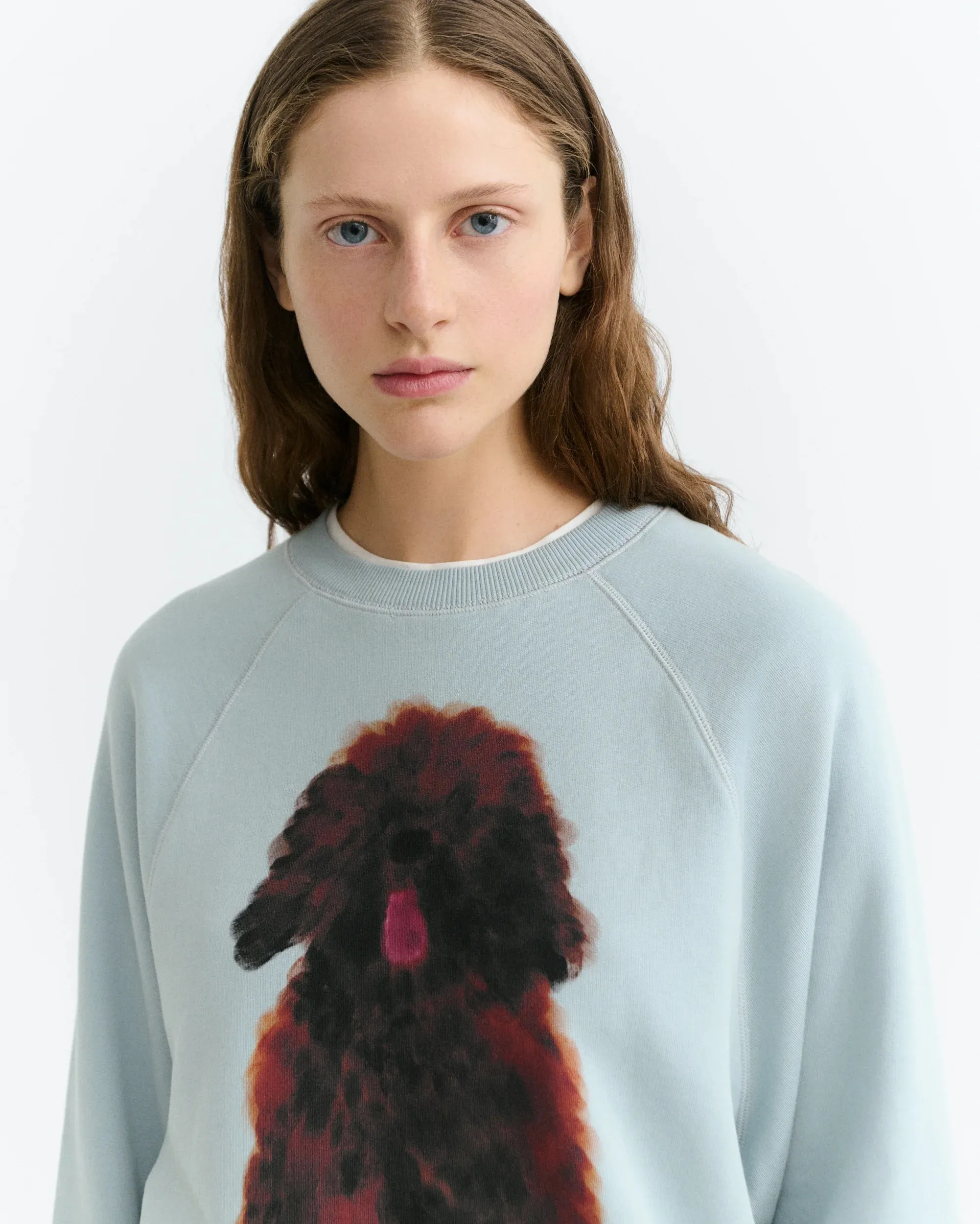 PET PORTRAIT BLUE BONNIE SWEATSHIRT - Blauw - Afbeelding 2