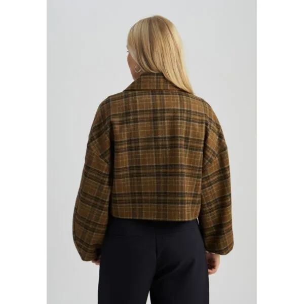 MSParilla Jacket - Bruin