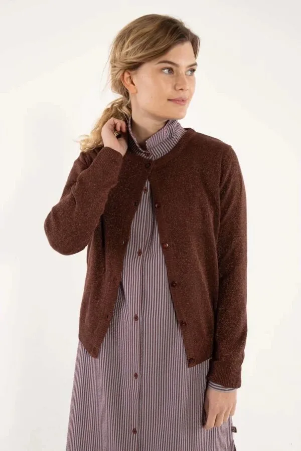 Danesaga Glitter Cardigan - Bruin